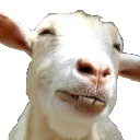soc_bz_goat