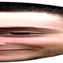 twide3