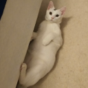 :zippy: Discord Emote