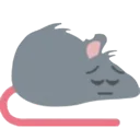 sadratright