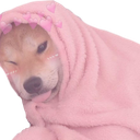 :kawaiidoggo: Discord Emote