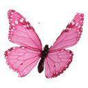 :butterfly: Discord Emote