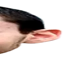 twide4