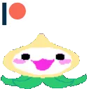 pachimari