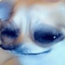 :kaysmile: Discord Emote