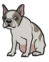 dogroots dogroots