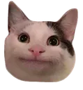 Ok