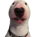bruh2