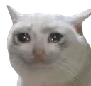 he_cry