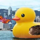 breadfish64 breadfish64