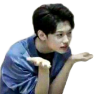 FelixShrug