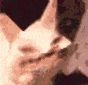 echdemon