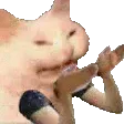 whyhandsmons