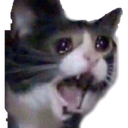nooooo