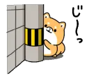 leopeek