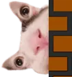 CatePeek