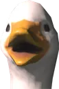 duckling duckling