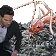 AntsPls AntsPls