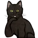 dalescat