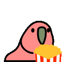 popcorn_parrot Discord emoji
