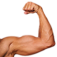 flex_right_OL