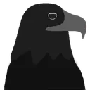 crows