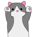 longcat1