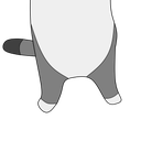 longcat3