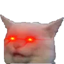 lazercat
