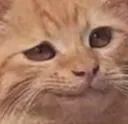 cathmmm cathmmm