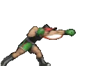 rapidjableft