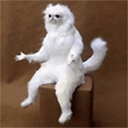 :wtcat: Discord Emote