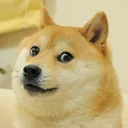 ConfusedDoge