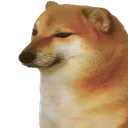 cheems1