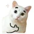 okCat