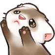 pls2