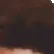 TriKool2