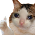 SadCatThumb Discord emoji