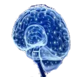 yodatvBrain