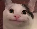 catblank