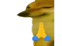 leg_dorime