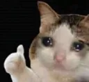 catyougotitdude
