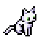 meow meow