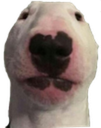 walter Discord emoji