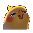 SmugBirb