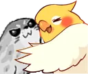 BirbHugSeal BirbHugSeal