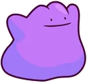Ditto Ditto