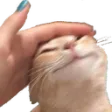 iamcatSimi
