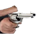 gunshot