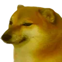 cheems